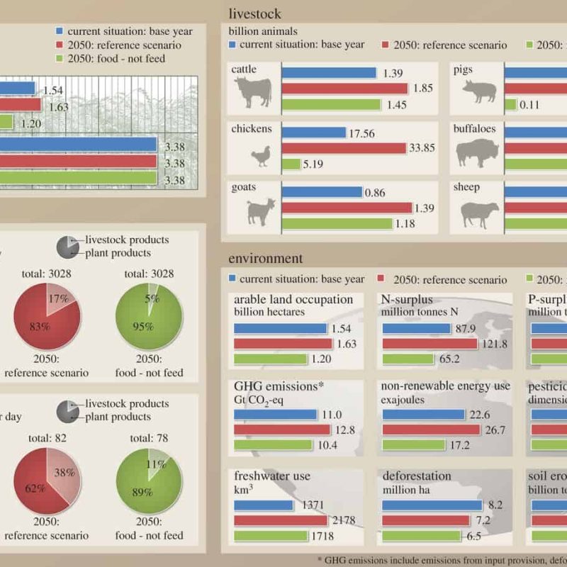 Grafik Fleisch