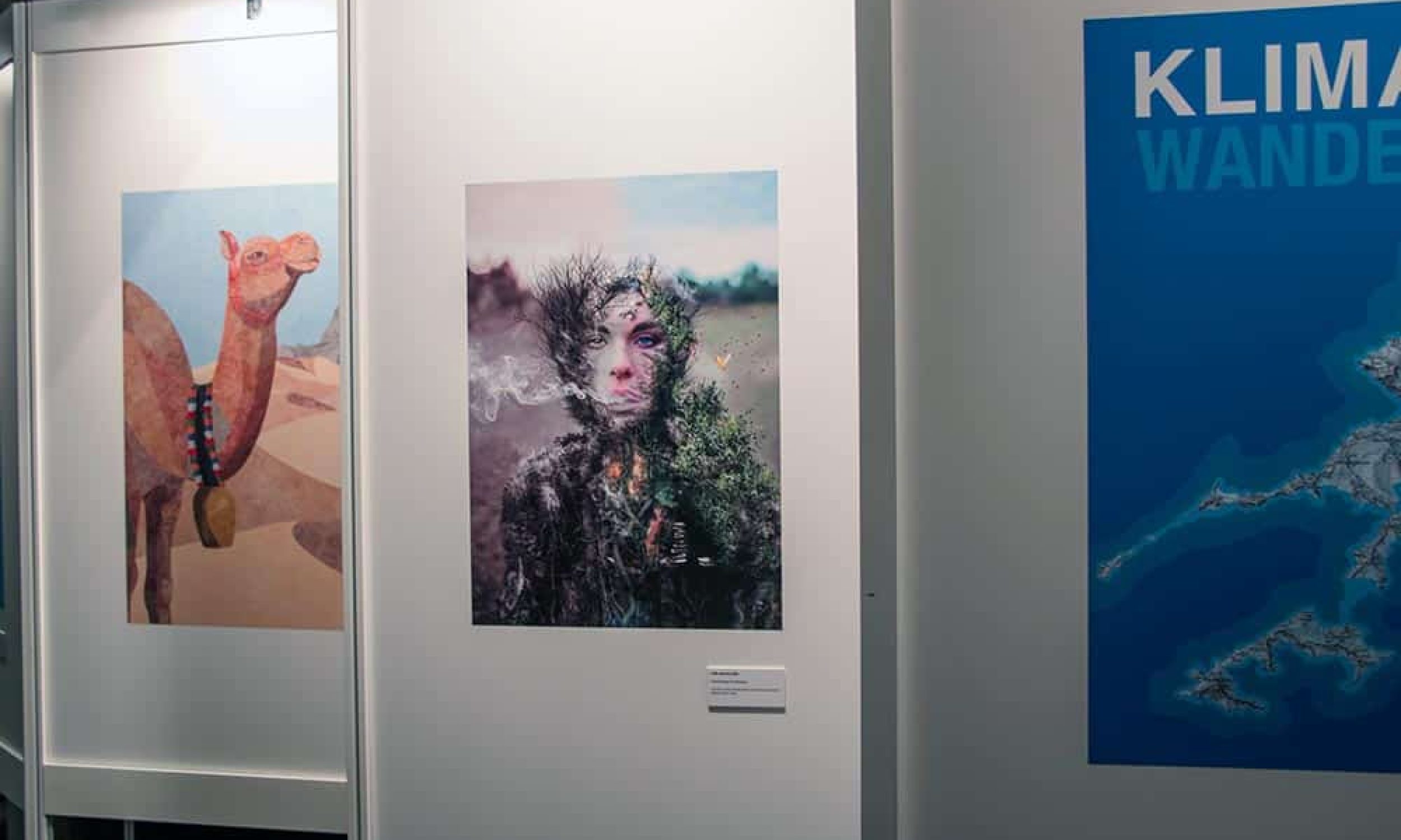 Vernissage Bildwettbewerb